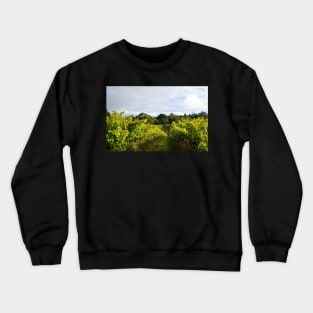 Vineyard Crewneck Sweatshirt